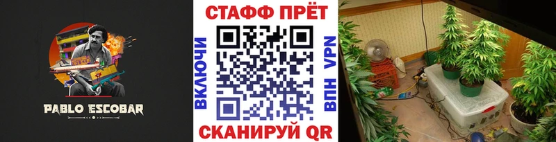 Продажа наркотиков Отрадная МАРИХУАНА Псилоцибиновые грибы ГАШИШ А ПВП