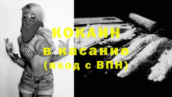 крисы Алексин
